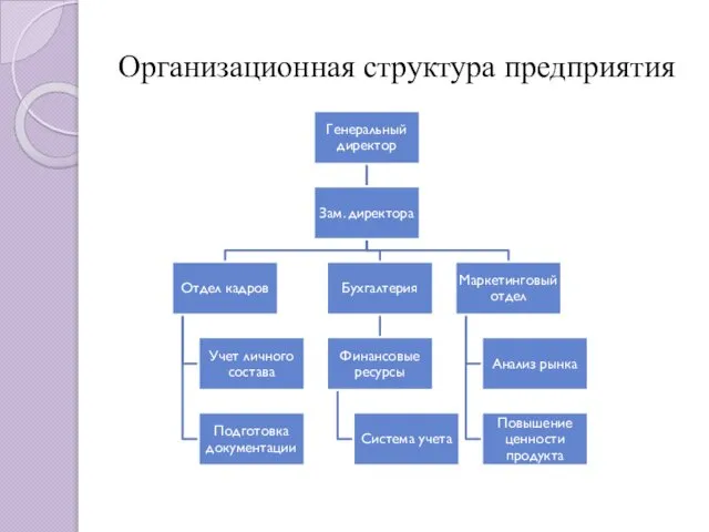 Организационная структура предприятия