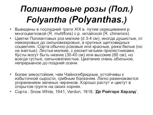 Полиантовые розы (Пол.) Folyantha (Polyanthas.) Выведены в последней трети XIX в.