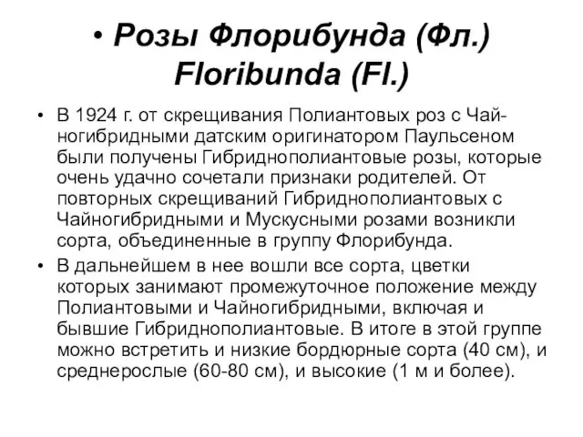 • Розы Флорибунда (Фл.) Floribunda (Fl.) В 1924 г. от скрещивания