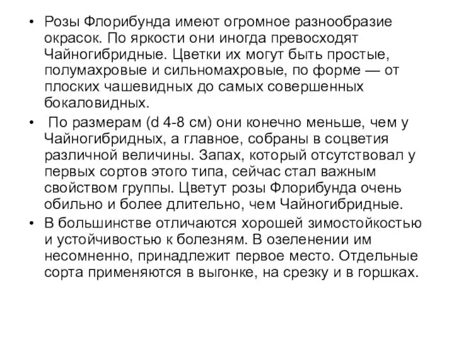 Розы Флорибунда имеют огромное разнообразие окрасок. По яркости они иногда превосходят