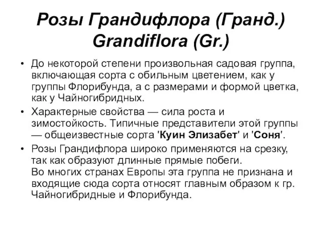 Розы Грандифлора (Гранд.) Grandiflora (Gr.) До некоторой степени произвольная садовая группа,