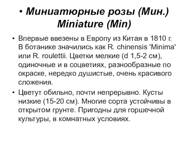 • Миниатюрные розы (Мин.) Miniature (Min) Впервые ввезены в Европу из