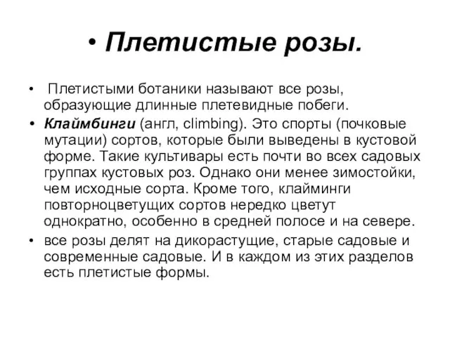 • Плетистые розы. Плетистыми ботаники называют все розы, образующие длинные плетевидные