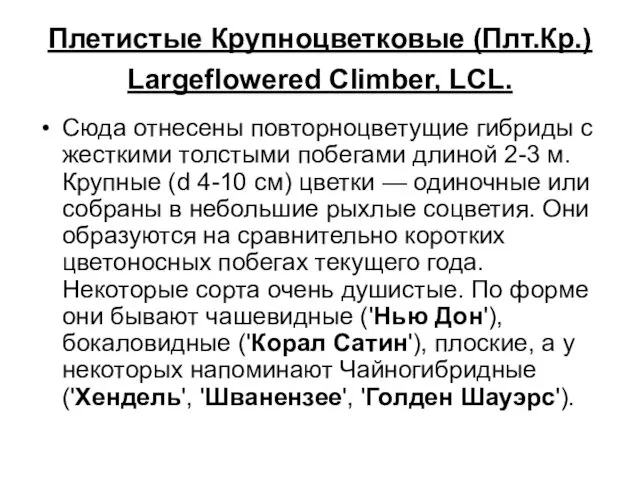 Плетистые Крупноцветковые (Плт.Кр.) Largeflowered Climber, LCL. Сюда отнесены повторноцветущие гибриды с