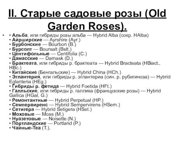 II. Старые садовые розы (Old Garden Roses). • Альба, или гибриды