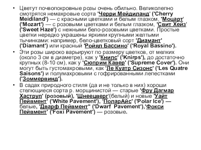 Цветут почвопокровные розы очень обильно. Великолепно смотрятся немахровые сорта 'Черри Мейдиланд'