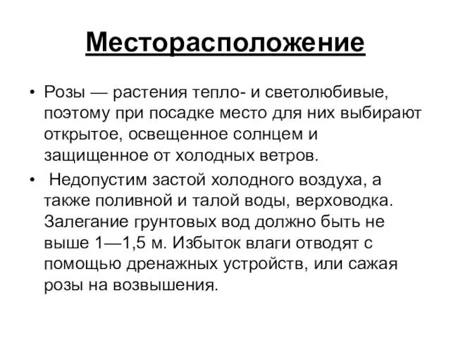 Месторасположение Pозы — растения тепло- и светолюбивые, поэтому при посадке место