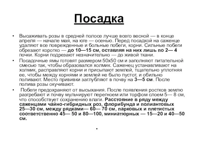 Посадка Высаживать розы в средней полосе лучше всего весной — в