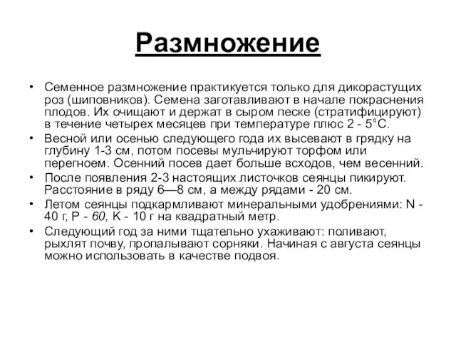 Размножение Семенное размножение практикуется только для дикорастущих роз (шиповников). Семена заготавливают