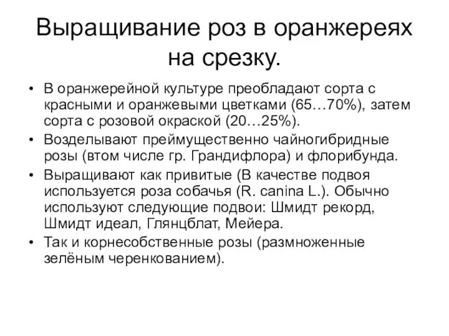 Выращивание роз в оранжереях на срезку. В оранжерейной культуре преобладают сорта