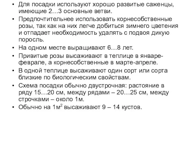 Для посадки используют хорошо развитые саженцы, имеющие 2…3 основные ветви. Предпочтительнее