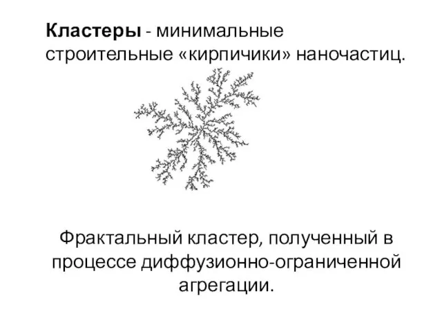 Фрактальный кластер, полученный в процессе диффузионно-ограниченной агрегации. Кластеры - минимальные строительные «кирпичики» наночастиц.