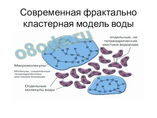 Современная фрактально кластерная модель воды