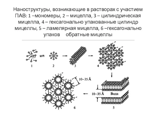 Наноструктуры, возникающие в растворах с участием ПАВ: 1 –мономеры, 2 –