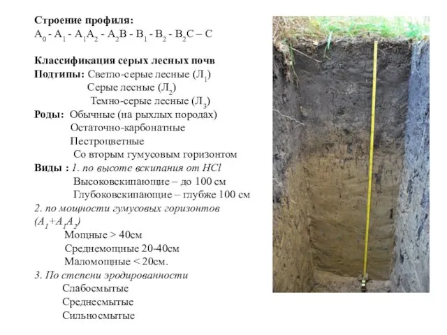 Строение профиля: А0 - А1 - А1А2 - А2В - В1