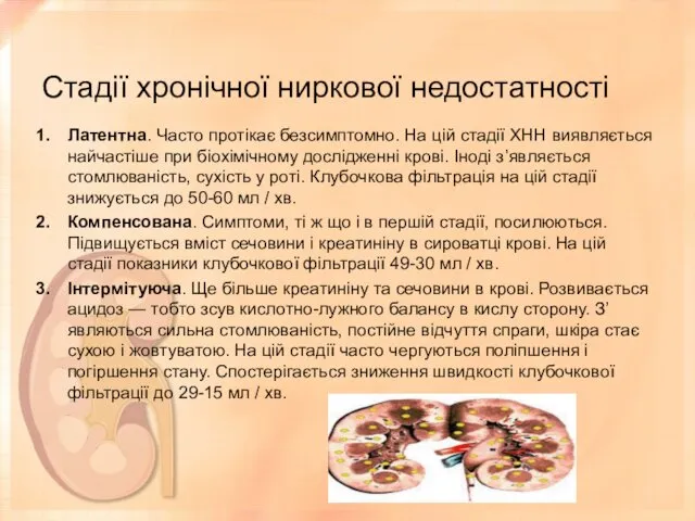 Стадії хронічної ниркової недостатності Латентна. Часто протікає безсимптомно. На цій стадії