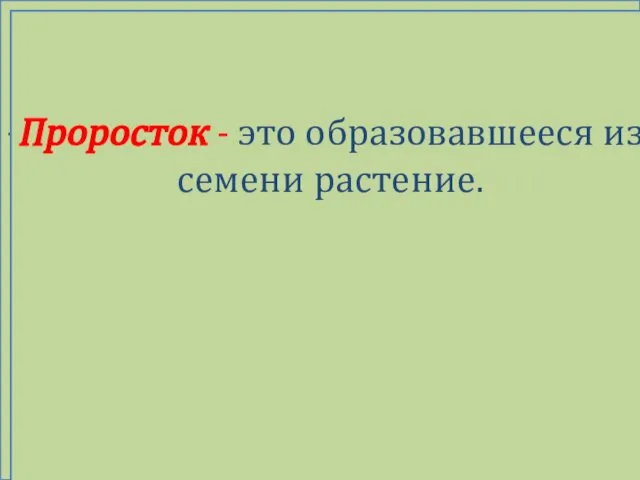 Проросток - это образовавшееся из семени растение. Проросток - это образовавшееся из семени растение.