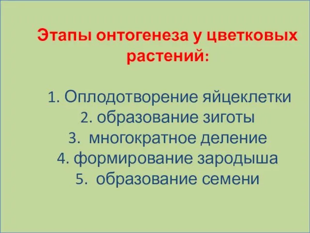 Этапы онтогенеза у цветковых растений: 1. Оплодотворение яйцеклетки 2. образование зиготы