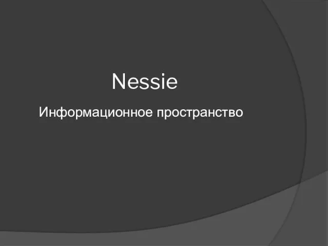 Nessie Информационное пространство