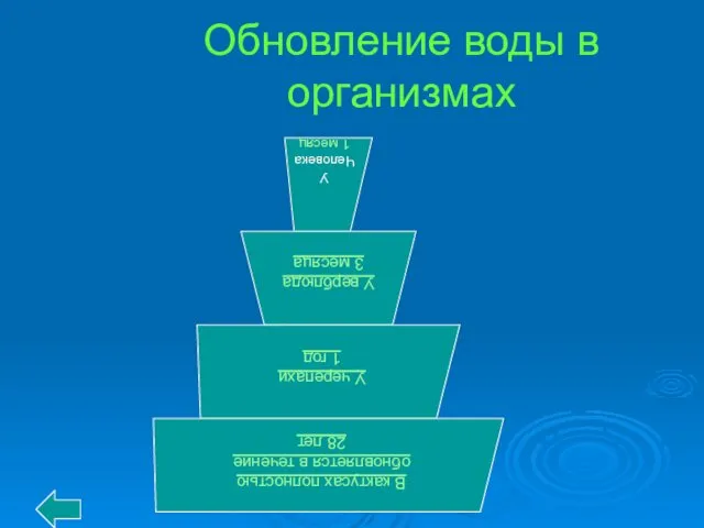 Обновление воды в организмах