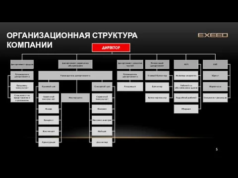 ОРГАНИЗАЦИОННАЯ СТРУКТУРА КОМПАНИИ