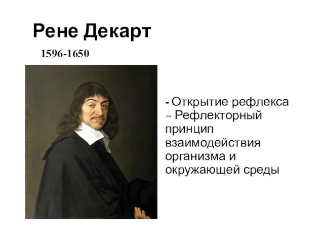 Рене Декарт 1596-1650 - Открытие рефлекса - Рефлекторный принцип взаимодействия организма и окружающей среды