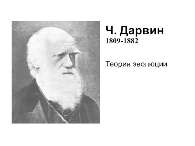 Ч. Дарвин 1809-1882 Теория эволюции