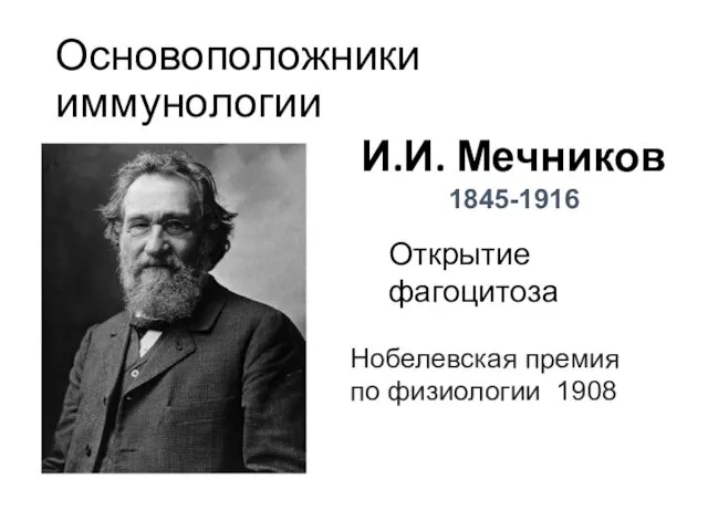 Основоположники иммунологии Открытие фагоцитоза И.И. Мечников 1845-1916 Нобелевская премия по физиологии 1908