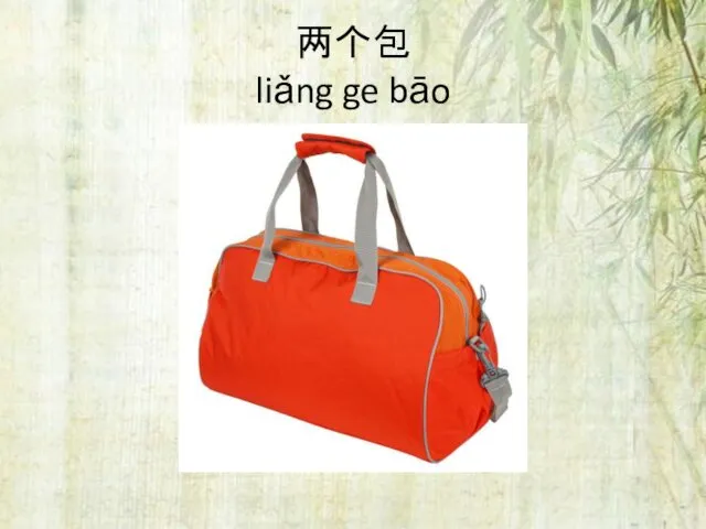两个包 liǎng ge bāo