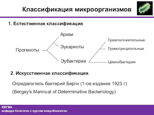 Классификация микроорганизмов Прогеноты 1. Естественная классификация Археи Эукариоты Эубактерии 2. Искусственная