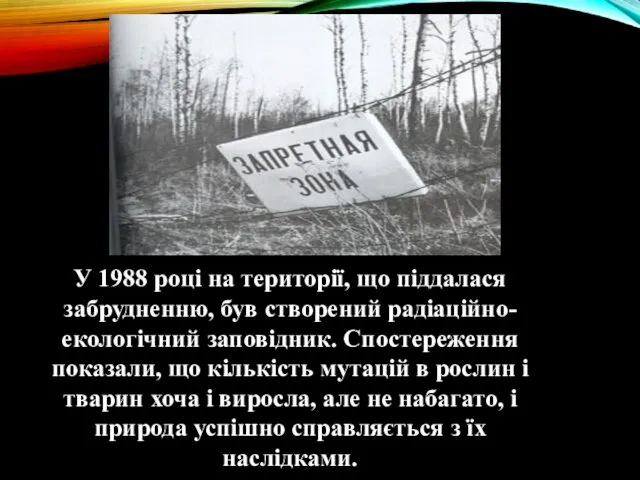 У 1988 році на території, що піддалася забрудненню, був створений радіаційно-екологічний