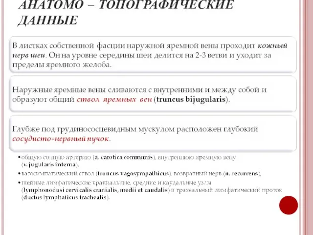 АНАТОМО – ТОПОГРАФИЧЕСКИЕ ДАННЫЕ