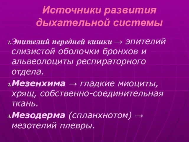 Источники развития дыхательной системы Эпителий передней кишки → эпителий слизистой оболочки