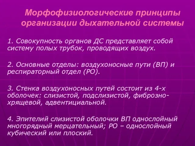 Морфофизиологические принципы организации дыхательной системы 1. Совокупность органов ДС представляет собой