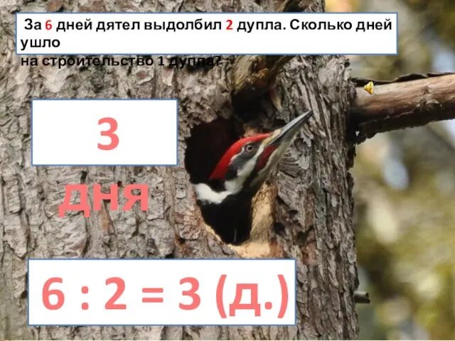 За 6 дней дятел выдолбил 2 дупла. Сколько дней ушло на