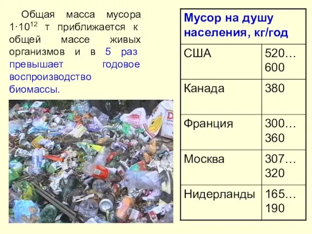Общая масса мусора 1·1012 т приближается к общей массе живых организмов