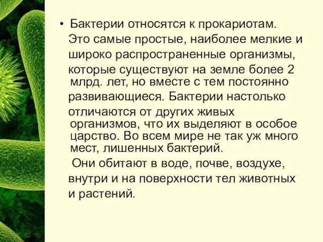 Бактерии относятся к прокариотам. Это самые простые, наиболее мелкие и широко