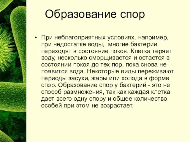 Образование спор При неблагоприятных условиях, например, при недостатке воды, многие бактерии