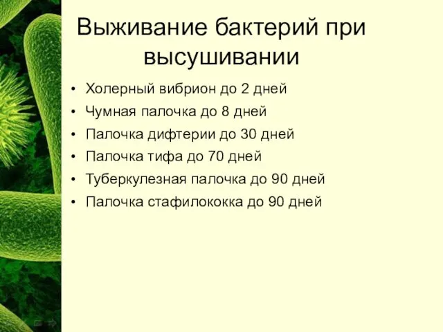 Выживание бактерий при высушивании Холерный вибрион до 2 дней Чумная палочка