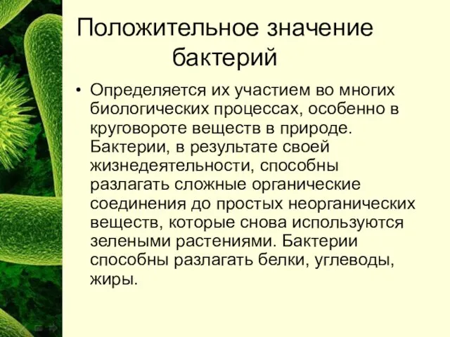 Положительное значение бактерий Определяется их участием во многих биологических процессах, особенно