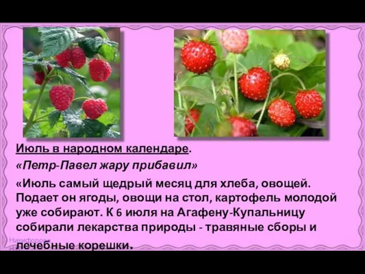 Июль в народном календаре. «Петр-Павел жару прибавил» «Июль самый щедрый месяц