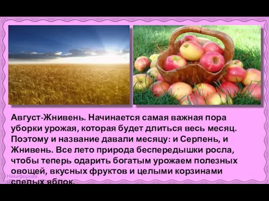 Август-Жнивень. Начинается самая важная пора уборки урожая, которая будет длиться весь