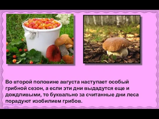 Во второй половине августа наступает особый грибной сезон, а если эти