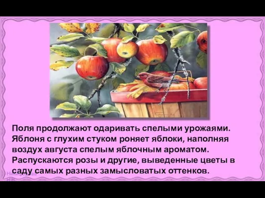 Поля продолжают одаривать спелыми урожаями. Яблоня с глухим стуком роняет яблоки,