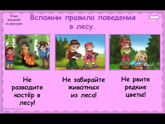 Вспомни правила поведения в лесу. Не забирайте животных из леса! Не