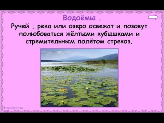 Ручей , река или озеро освежат и позовут полюбоваться жёлтыми кубышками