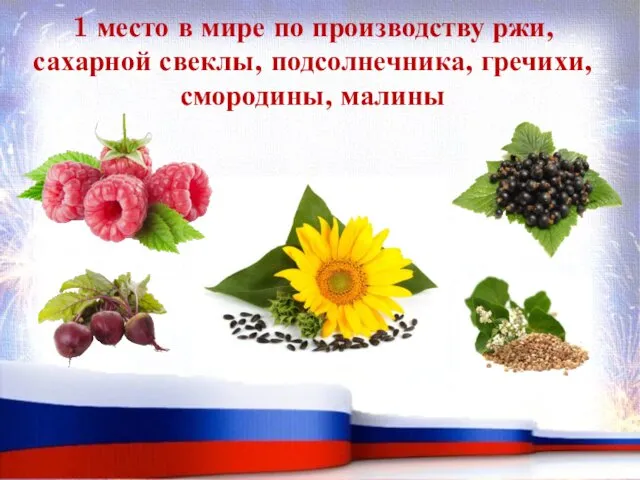 1 место в мире по производству ржи, сахарной свеклы, подсолнечника, гречихи, смородины, малины