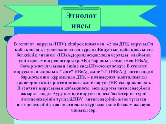 Этиологиясы В гепатит вирусы (HBV) кішірек шамамен 42 нм ДНҚ вирусы.Ол