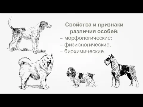 Свойства и признаки различия особей: – морфологические; – физиологические, – биохимические.