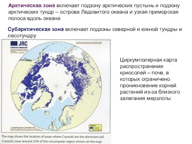 Арктическая зона включает подзону арктических пустынь и подзону арктических тундр –